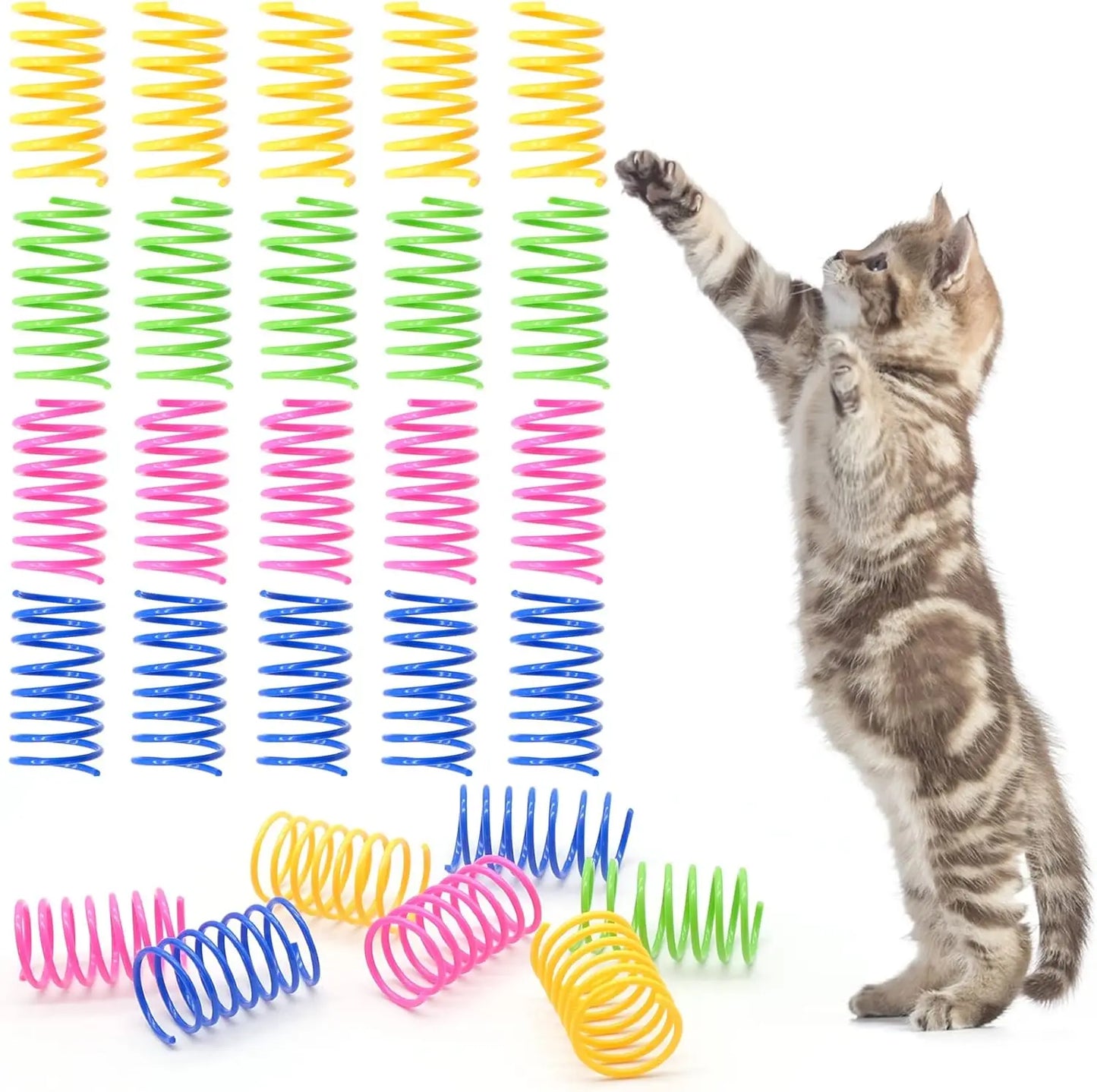 Spiral Springs - Fun Cat Toys