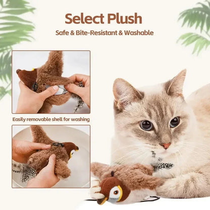 Interactive Cat Toys Rechargeable with Catnip