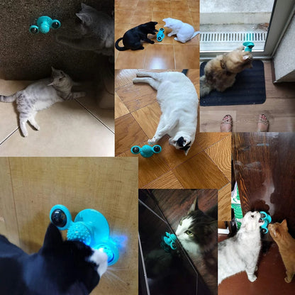 Interactive Cat Toy with Catnip, Suction Cup