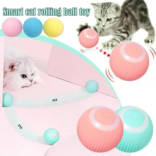 Smart Cat Toys, Interactive