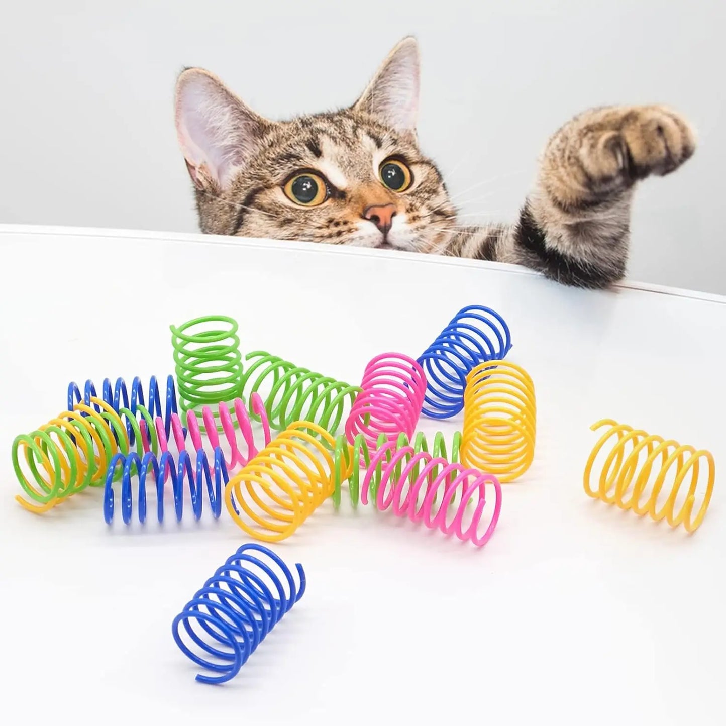 Spiral Springs - Fun Cat Toys