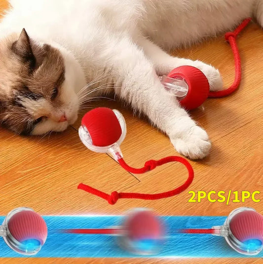 Rechargeable Self Rotating Interactive Ball Toys