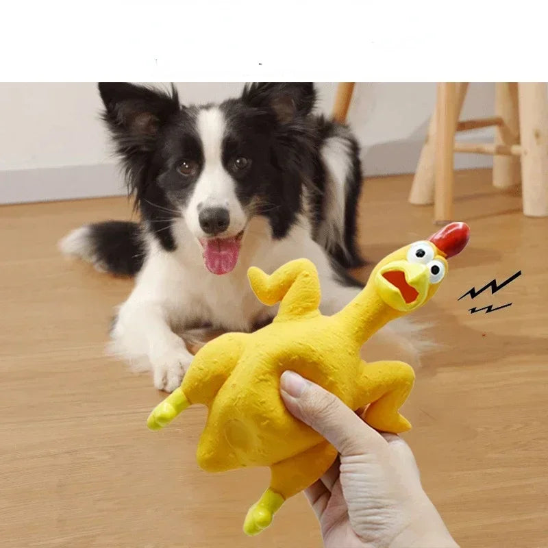 Screaming Chicken Squeeze Toy for Pets
